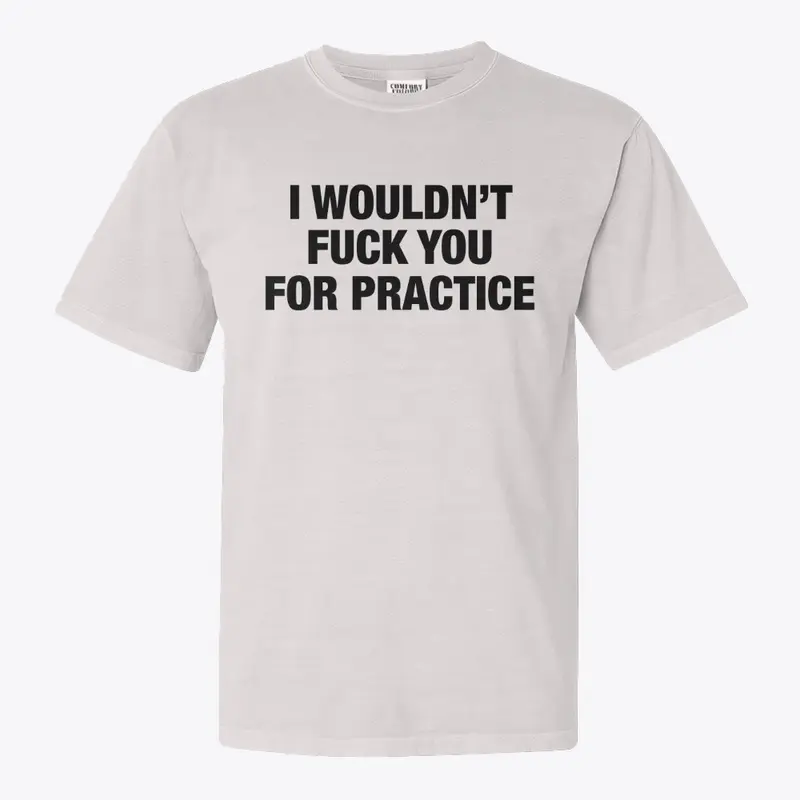 I Wouldn't Fuck You For Practice T-Shirt