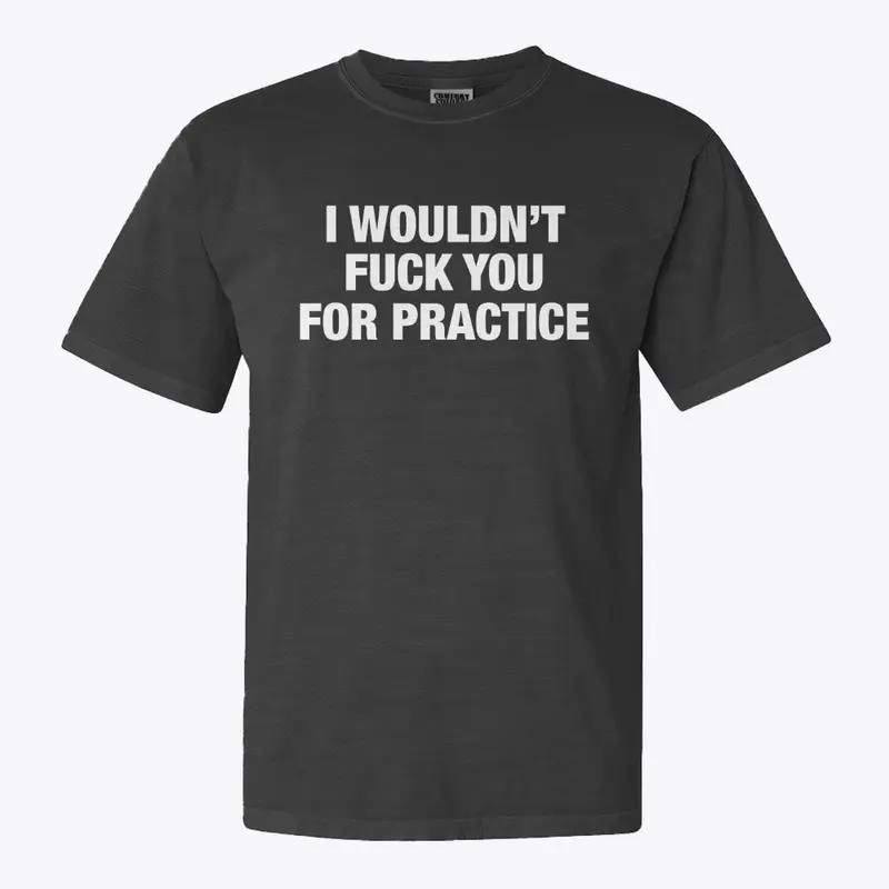 I Wouldn't Fuck You For Practice T-Shirt