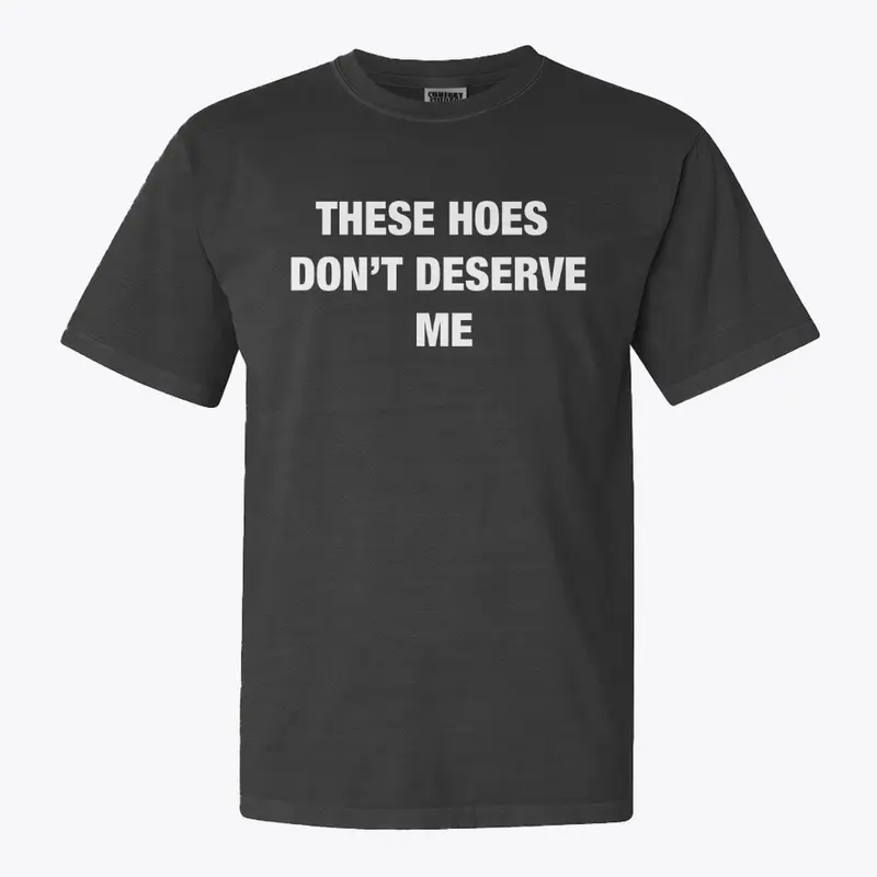 These Hoes Don't Deserve Me T-Shirt